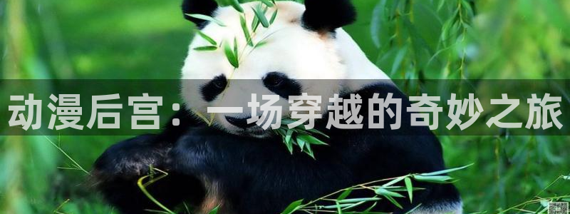 里 番 动漫在线观看：动漫后宫：一场穿越的奇妙之旅配图
