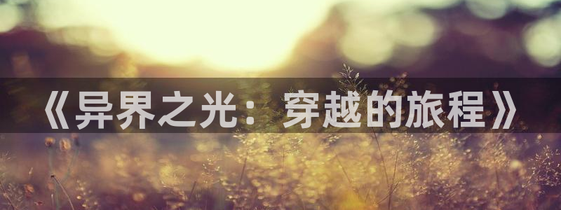在线观看 里番动漫：《异界之光：穿越的旅程》配图