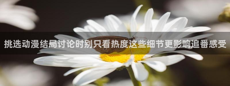 动漫里番在线观看地址:挑选动漫结局讨论时别只看热度这些细节更影响追番感受配图