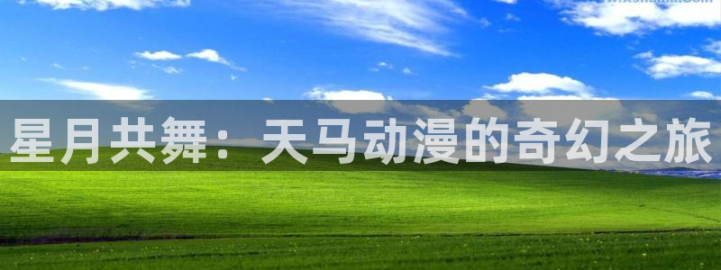 里番肉片动漫在线观看:星月共舞:天马动漫的奇幻之旅配图