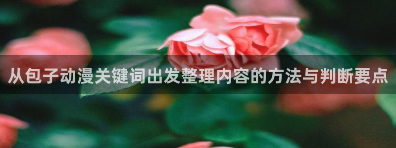 里番肉动漫在线观看:从包子动漫关键词出发整理内容的方法与判断要点配图