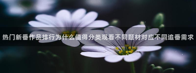 里番动漫在线动漫观看:热门新番作品排行为什么值得分类观看不同题材对应不同追番需求配图