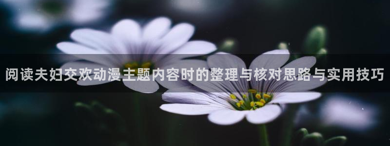 里番兄妹动漫在线观看:阅读夫妇交欢动漫主题内容时的整理与核对思路与实用技巧配图