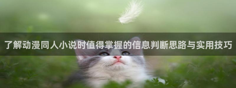 外番里番动漫在线观看:了解动漫同人小说时值得掌握的信息判断思路与实用技巧配图